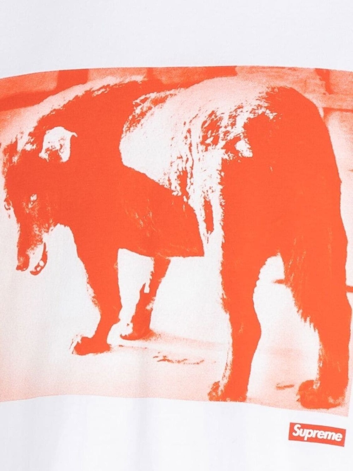 

Supreme футболка Dog из коллаборации с Daido Moriyama, коричневый