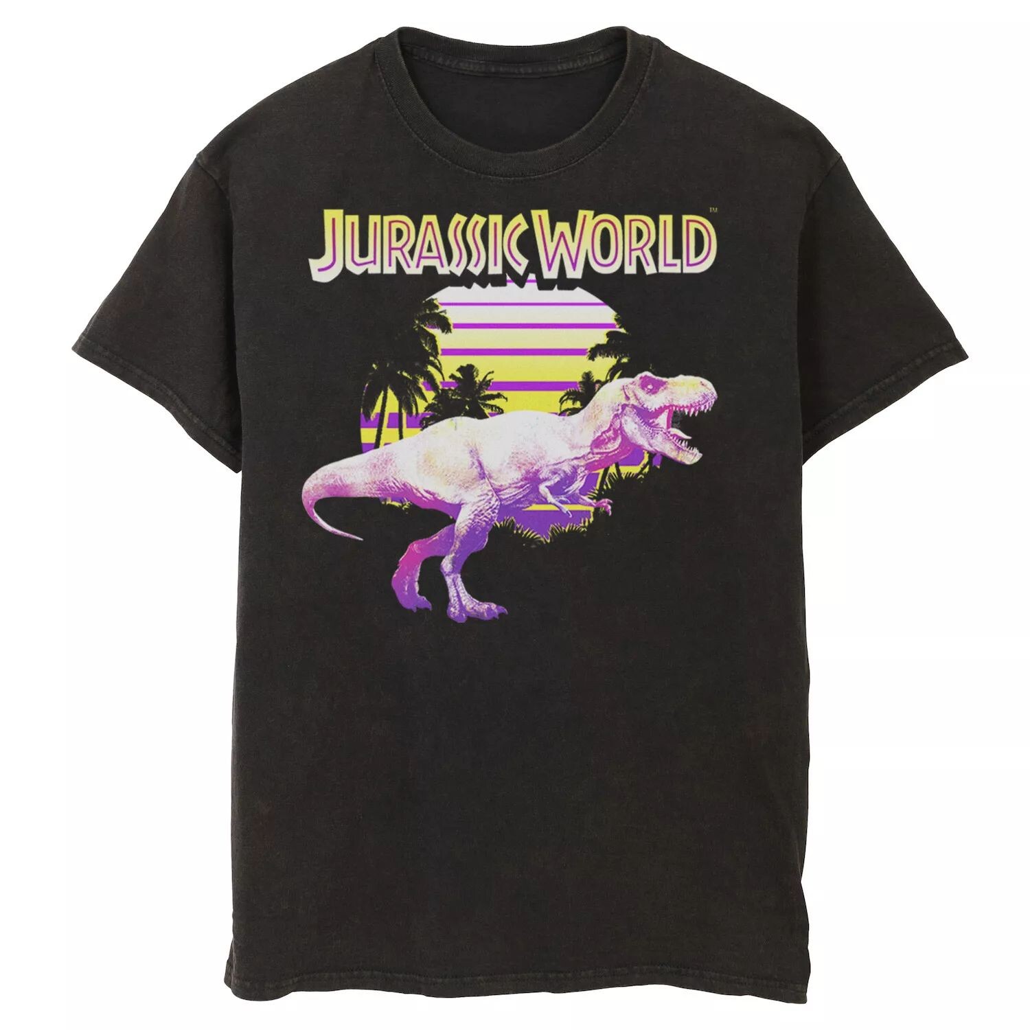 

Мужская неоново-фиолетовая и желтая футболка Jurassic World T-Rex Jurassic Park, черный