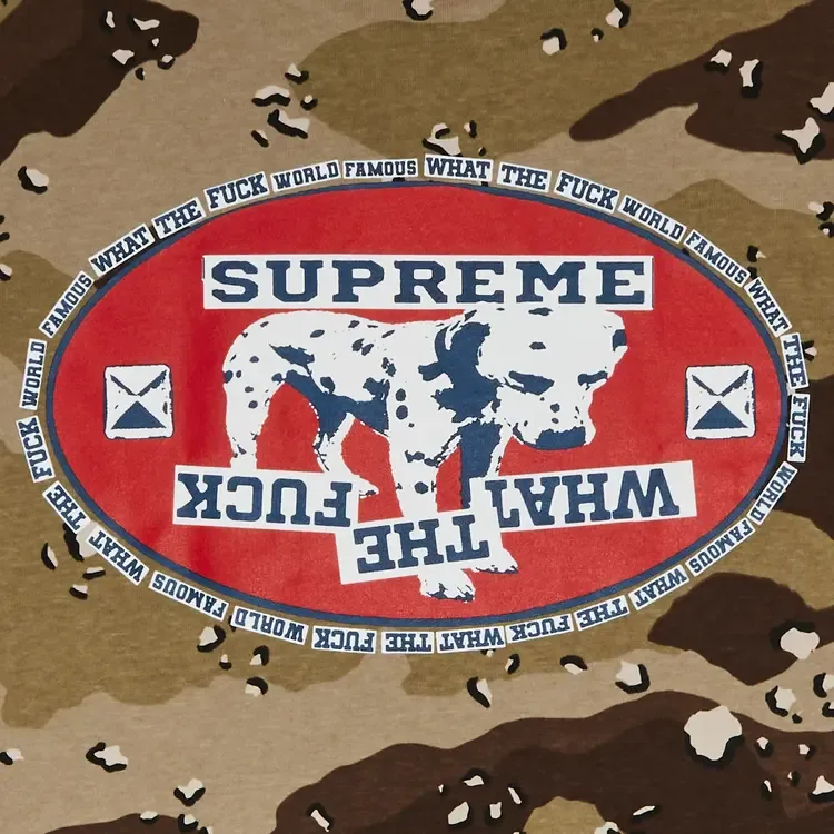 Футболка Supreme Dalmatian Tee 'Chocolate Chip Camo', коричневый — фото 3