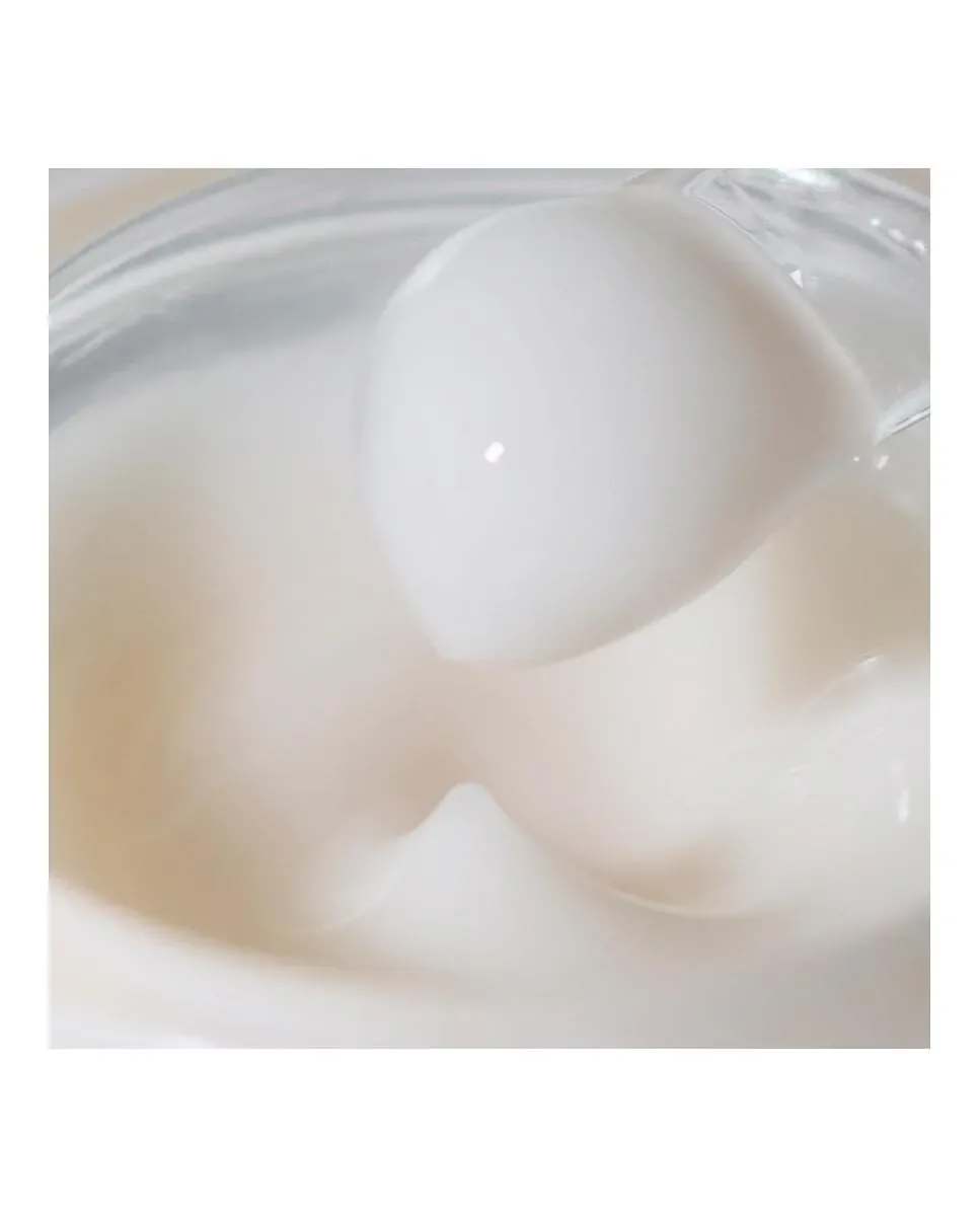 Крем для лица Sensai — Absolute Silk Cream, 40 мл — фото 3