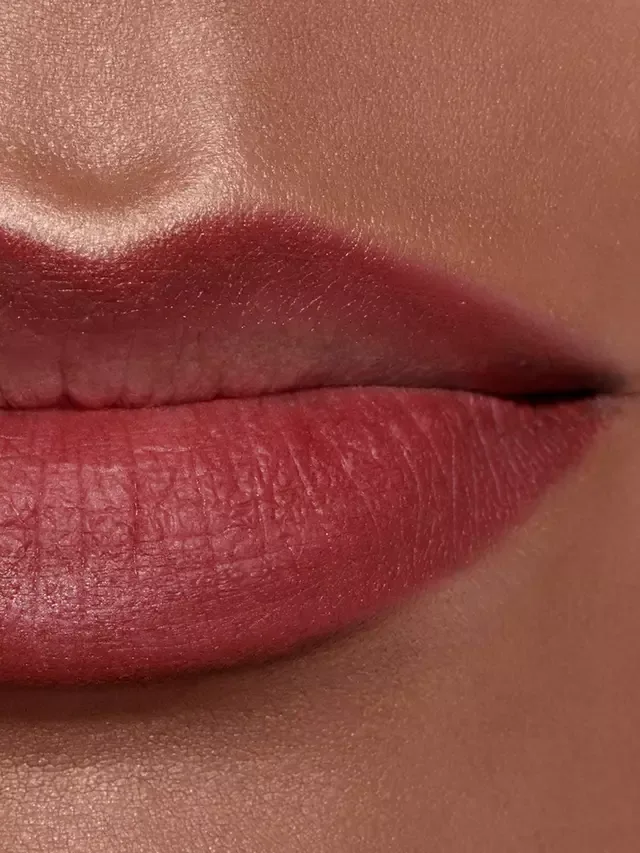 Стойкий карандаш для губ Le Crayon Lèvres CHANEL, 218 Brun Rouge — фото 4
