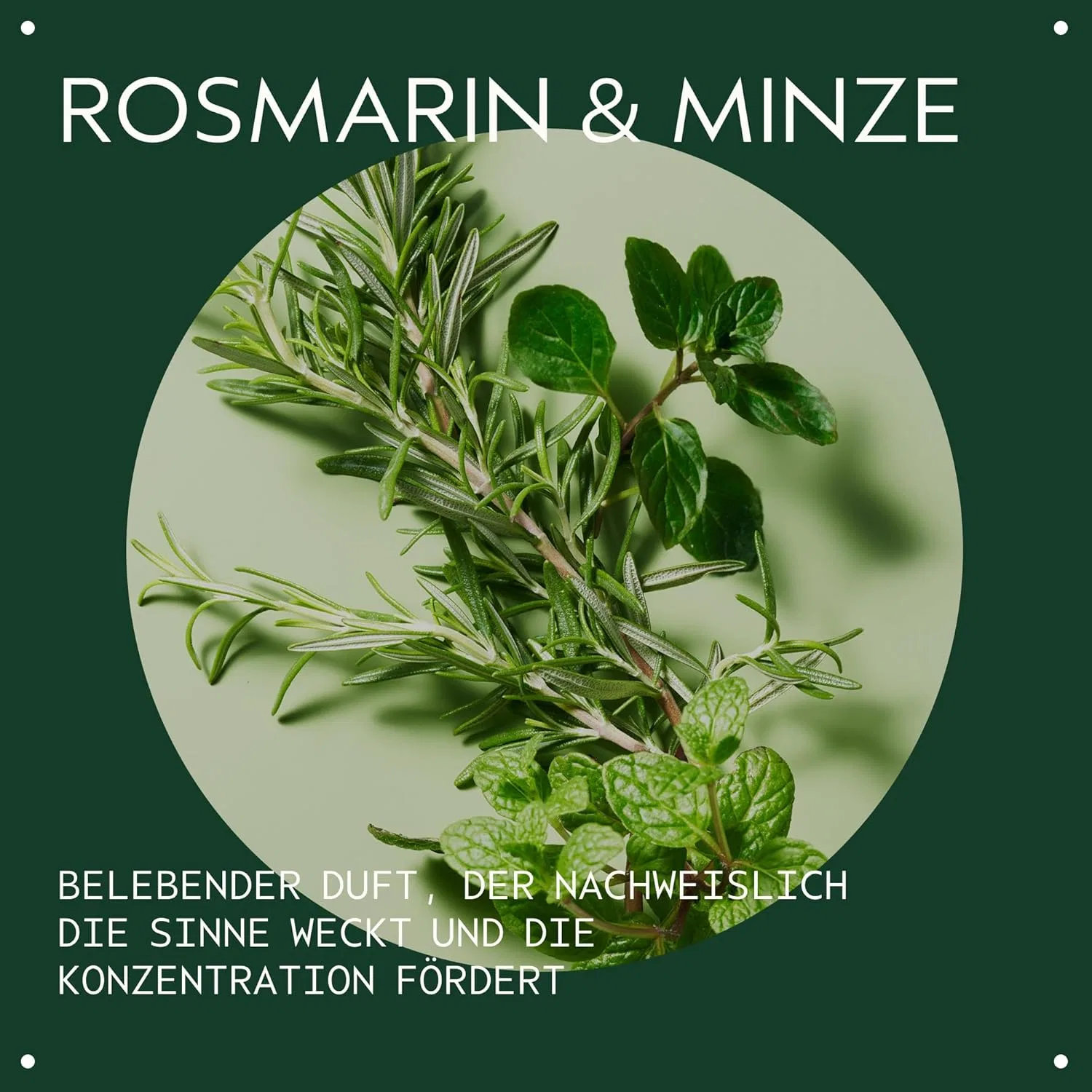 Легкий кондиционер Aveda Rosemary Mint Weightless для нормальных и жирных волос Aveda — фото 3