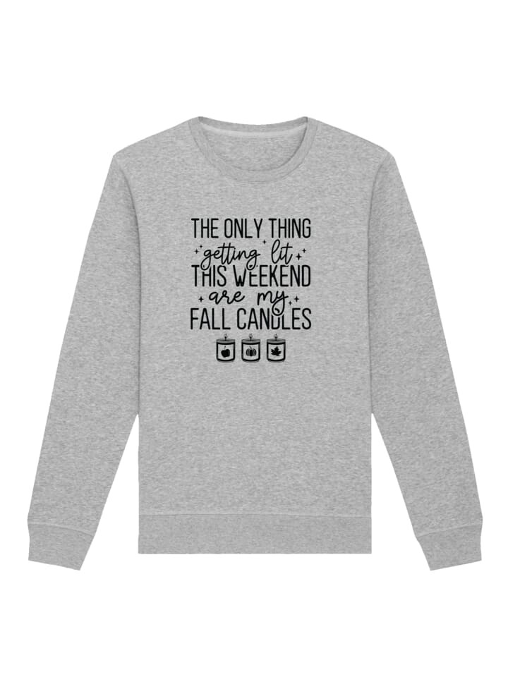 

Толстовка F4NT4STIC Sweatshirt getting lit fall candles, пятнистый серый