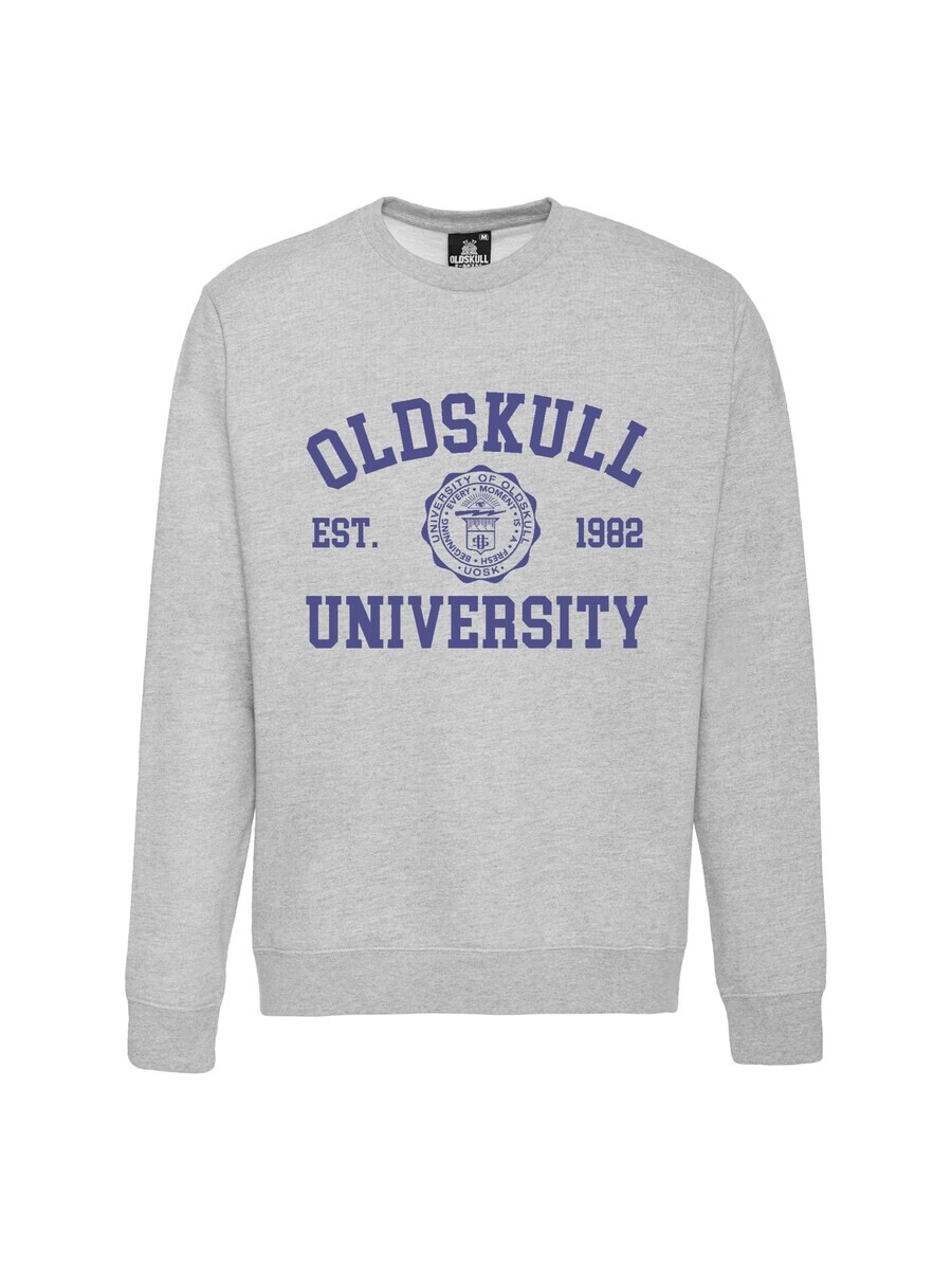 

Толстовка Oldskull University, серый
