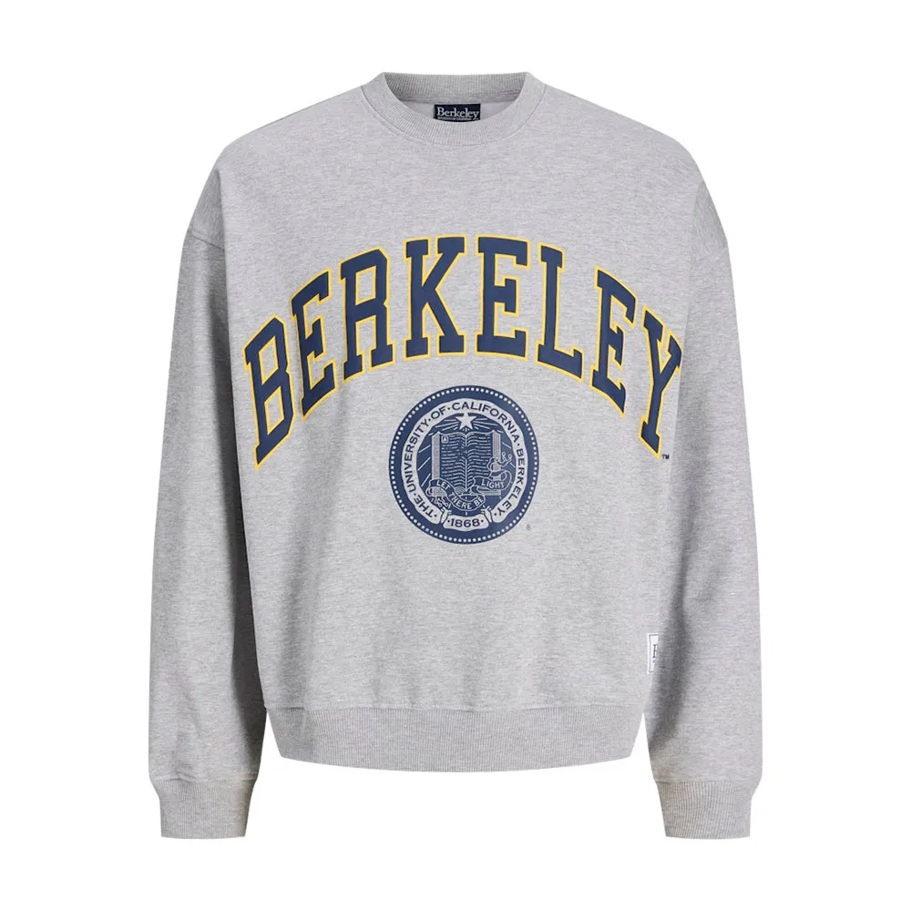 

Толстовка Jack & Jones Berkeley Styd, серый