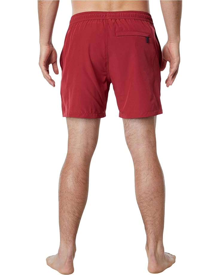 

Шорты для плавания Deus Ex Machina Summit Boardshorts, цвет Jester Red