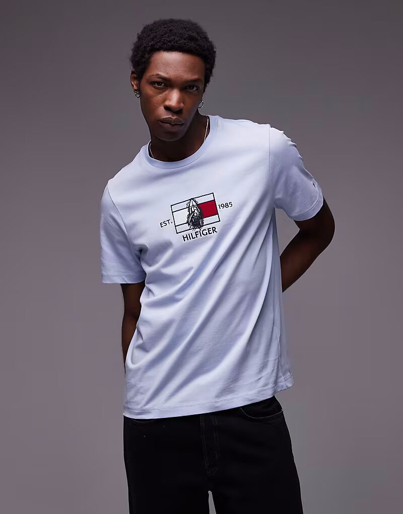 

Футболка с центральным флагом бледно-голубого цвета Tommy Hilfiger, Синий, Футболка с центральным флагом бледно-голубого цвета Tommy Hilfiger