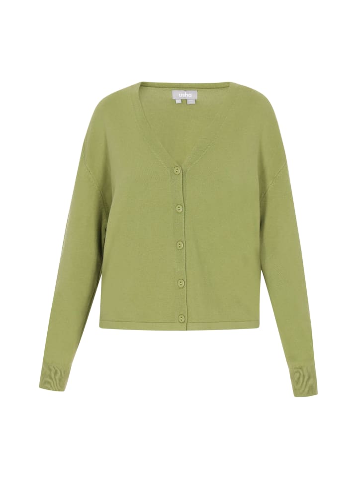 

Спортивная куртка Usha, цвет light green