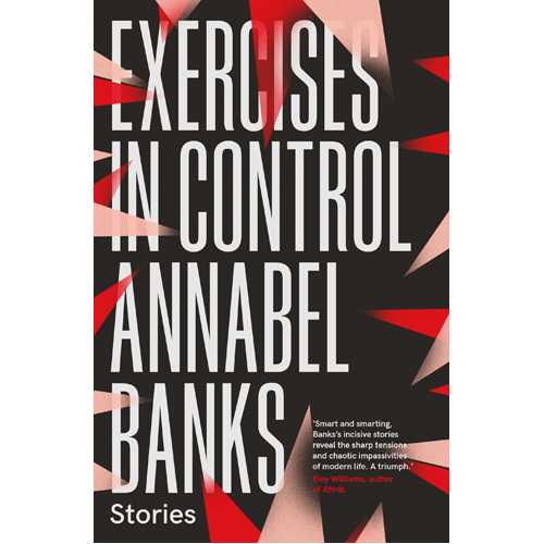 

Книга Exercises In Control