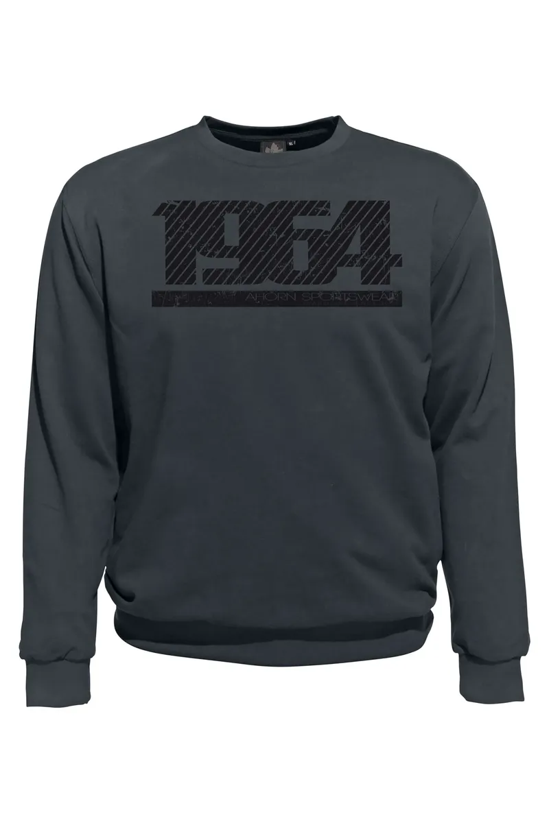 

Толстовка AHORN SPORTSWEAR "GRAPHIC NUMBER", с модным принтом спереди, серый