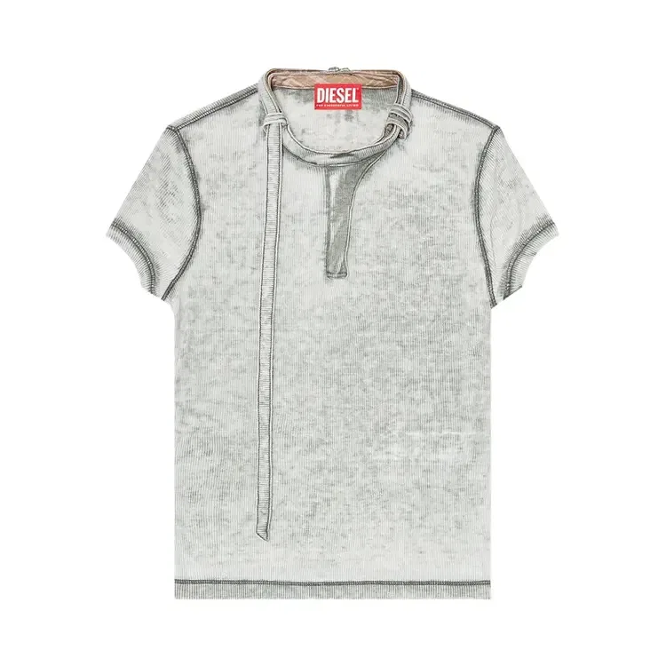 Футболка с коротким рукавом Diesel T-Eresa, серый