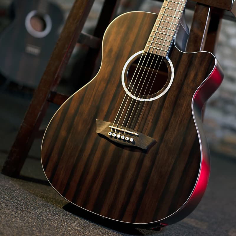 

Акустическая гитара Washburn DFEACE Deep Forest Ebony Ace Stripe Wood Mahogany Neck 6-String Acoustic-Electric Guitar