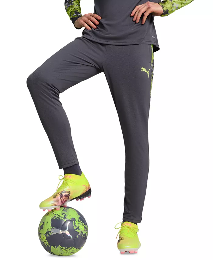

Мужские тренировочные брюки IndividualCUP Puma, серый