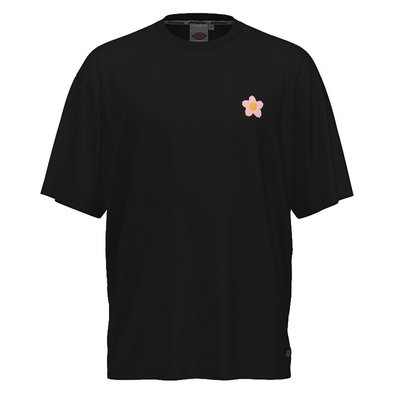 

Футболка мужская черная Dickies, черный