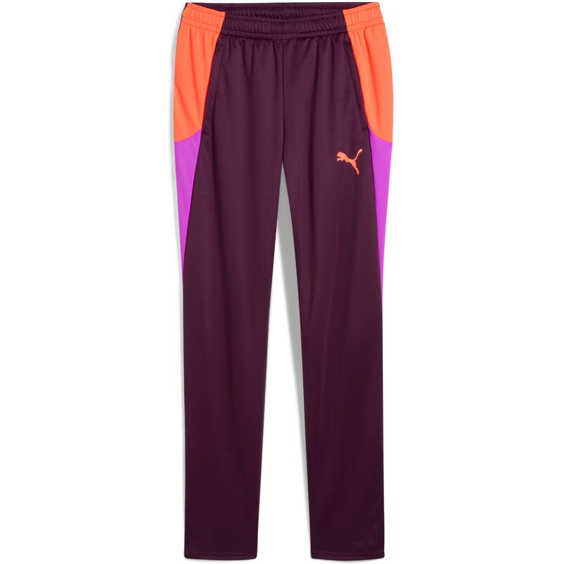 

Спортивные брюки Individualblaze Training Pants Puma, цвет midnight plum