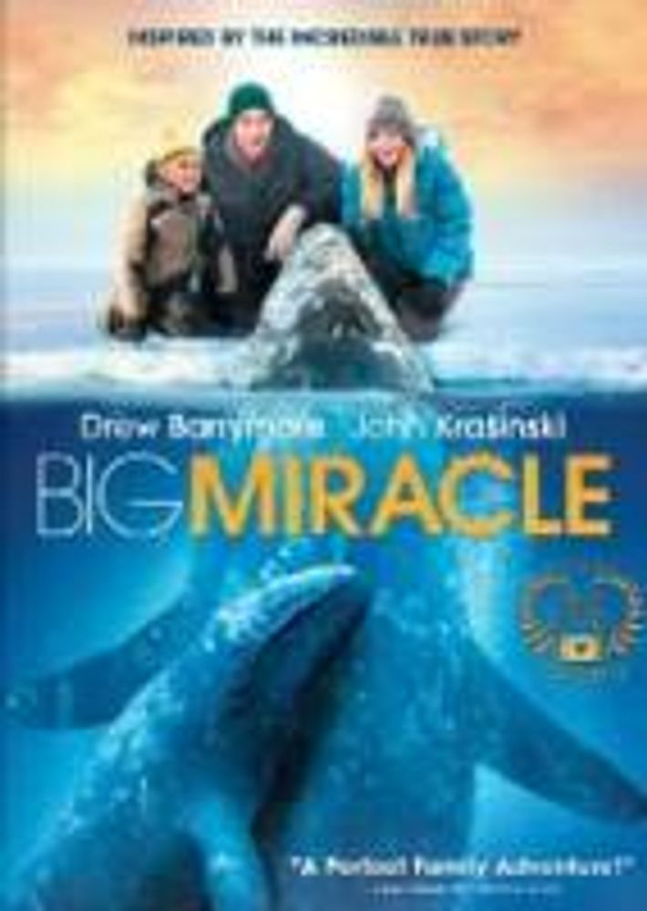 

Диск DVD Big Miracle