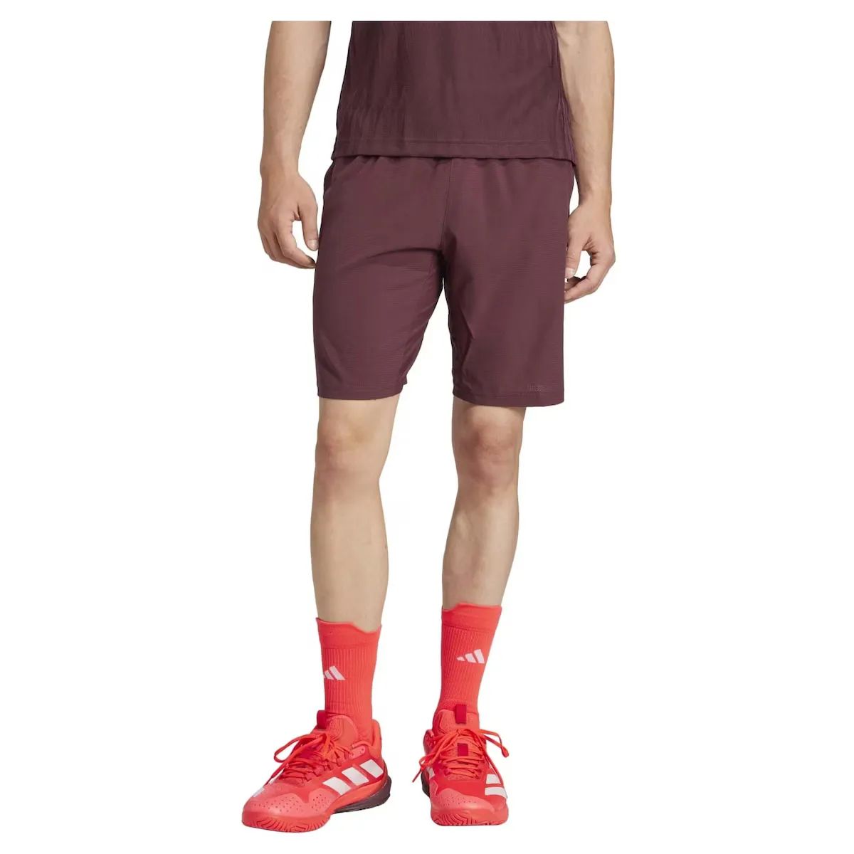 

Мужские теннисные шорты ERGO adidas, гранатовый
