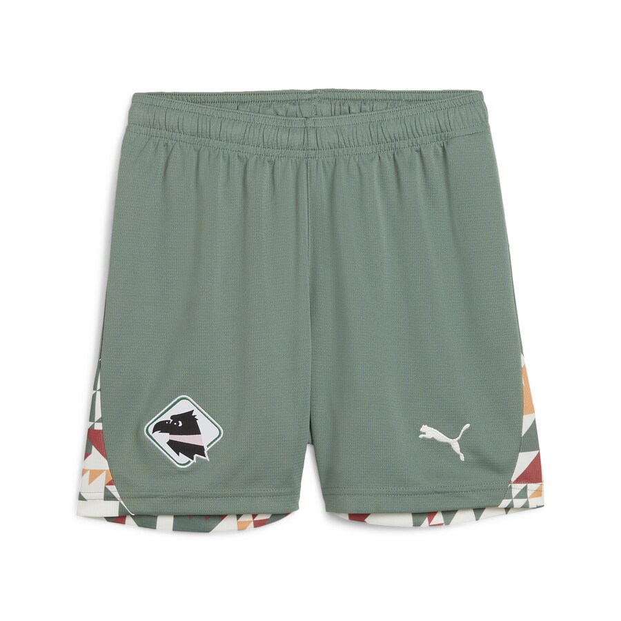 

Обычные тренировочные брюки PUMA Palermo F.C. 24/25, зеленый