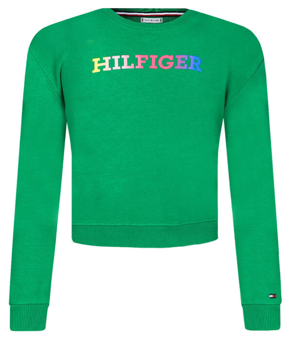 

Джемпер монотипный свитшот Loose fit Tommy Hilfiger, зеленый