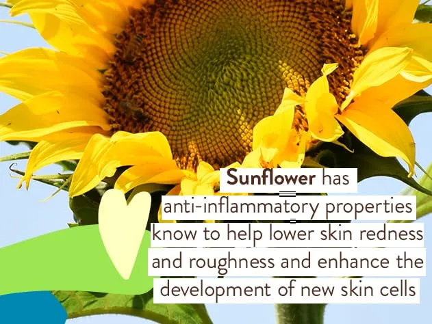 BABO Botanicals минеральный солнцезащитный стик для чувствительной кожи SPF 50 с 70% органических ингредиентов, цинк оксид, водостойкий, без отдушки, для малышей и детей 17.01 г (1 шт.), White — фото 4