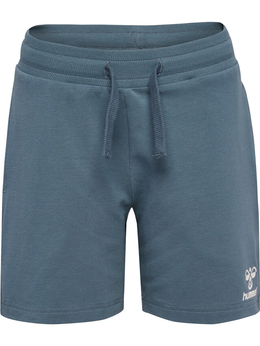 

Шорты Hummel Regular Workout Pants, пыльно-голубой