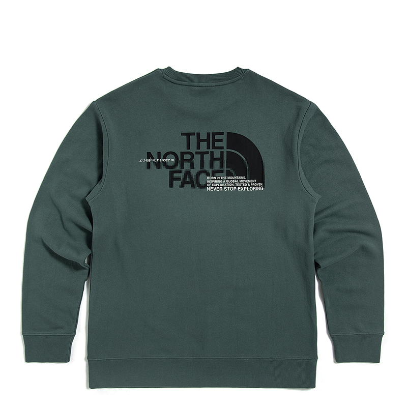 

Толстовка мужская зеленая The North Face, зеленый