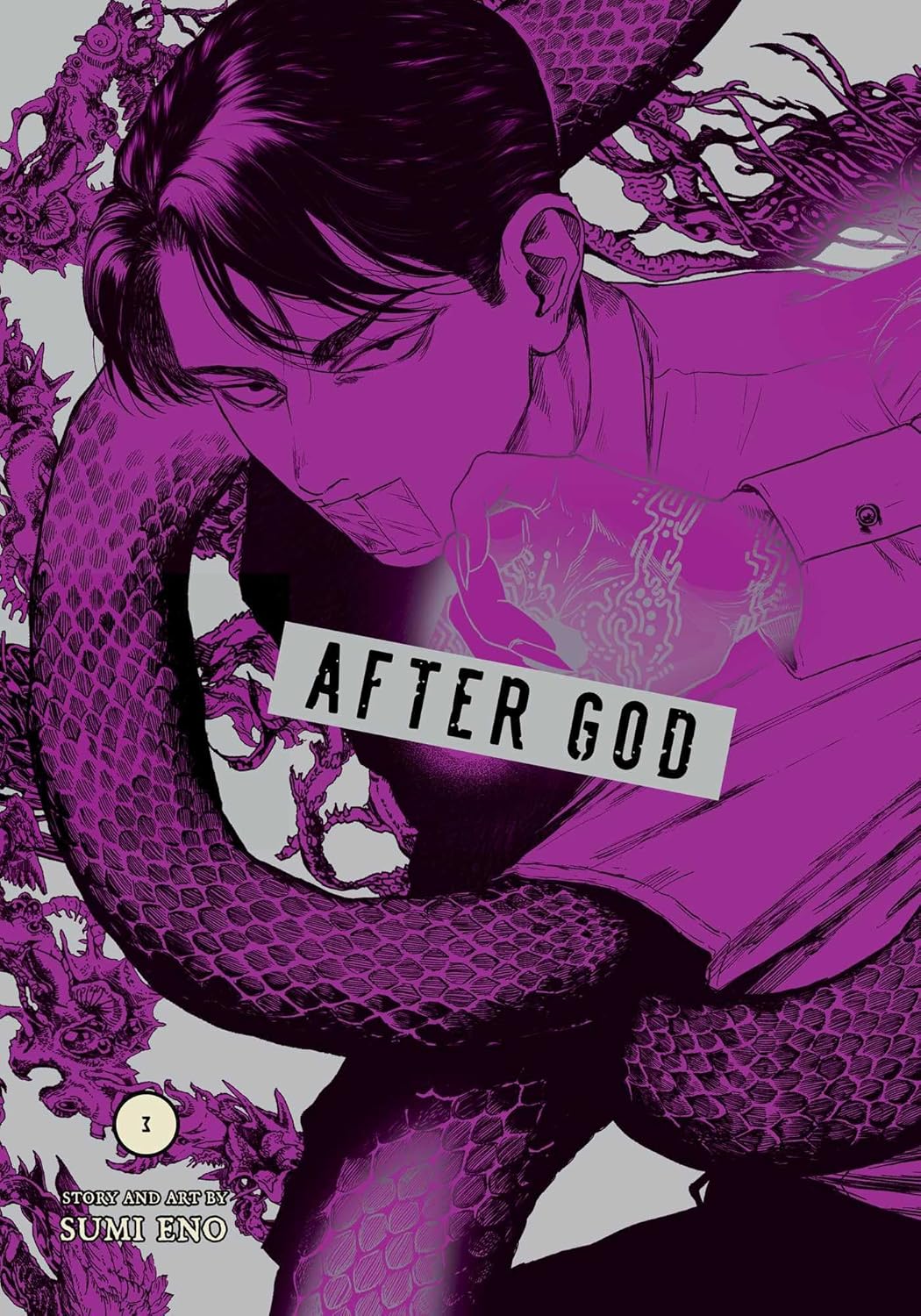 

After God, Vol. 3 (VIZ Media LLC)