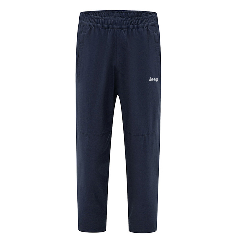 

Брюки Casual Leisure Collection мужские Jeep, темно-синий