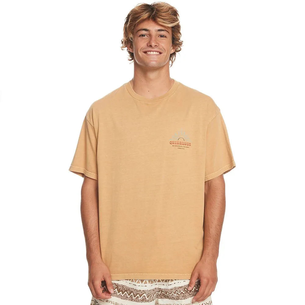 

Футболка Quiksilver Qs Bloom Ss short sleeve v neck, бежевый