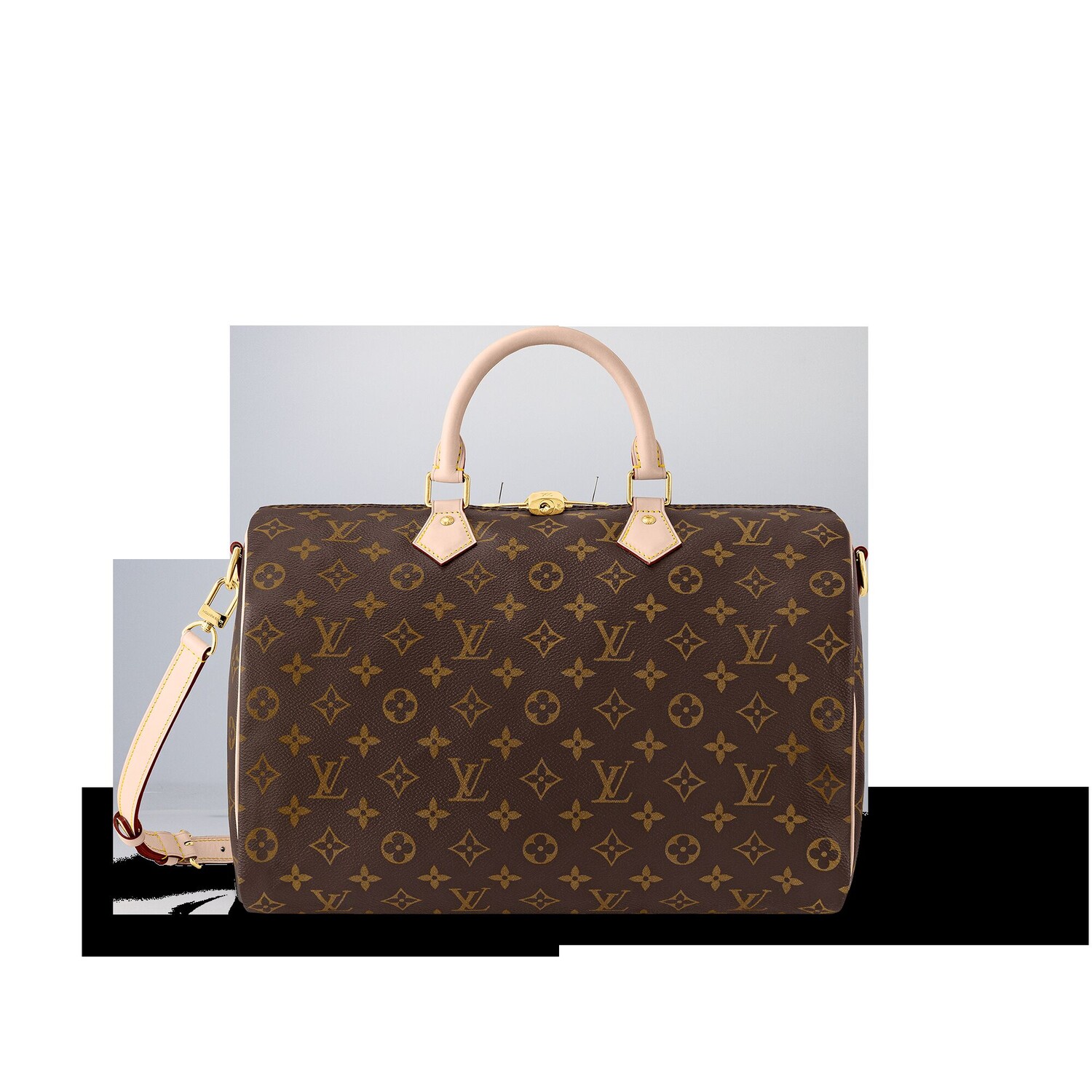 

Сумка женская Louis Vuitton, коричневый