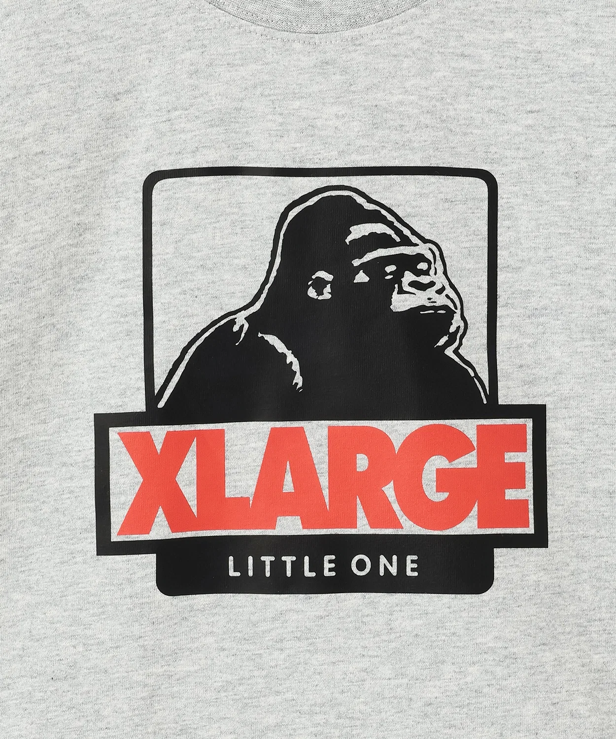 Детская футболка с длинным рукавом XLARGE KIDS серая — фото 4