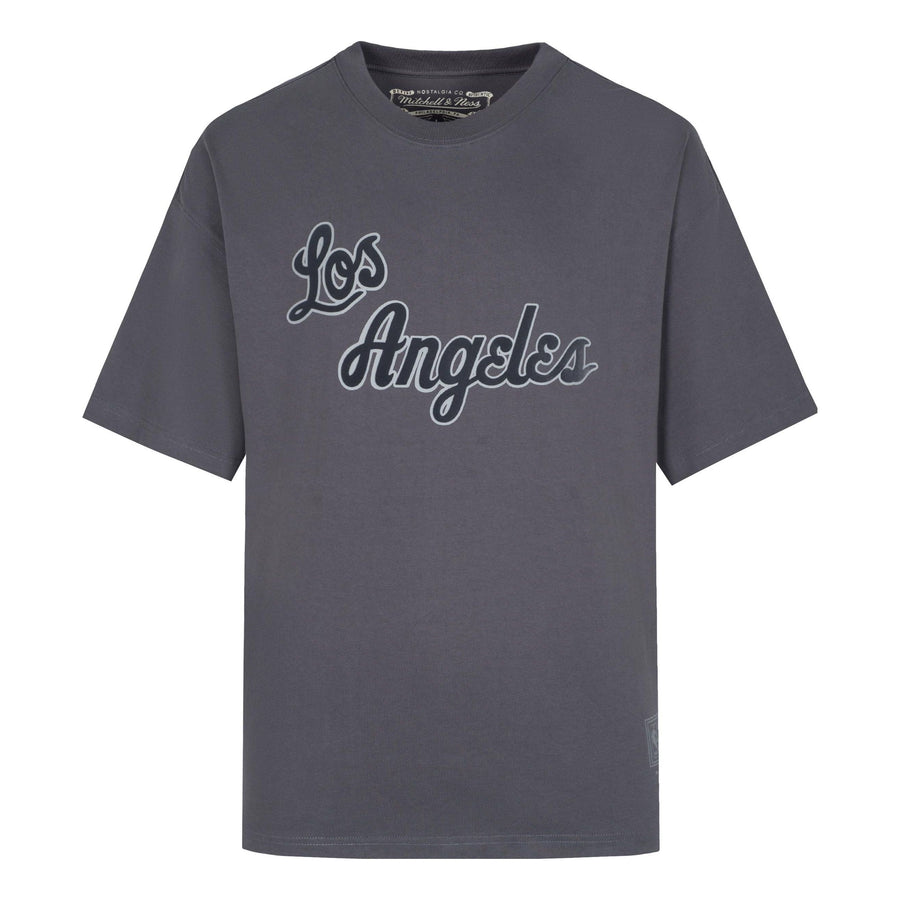 

Футболка Mitchell & Ness x NBA Los Angeles Lakers T-shirt 'Grey', серый
