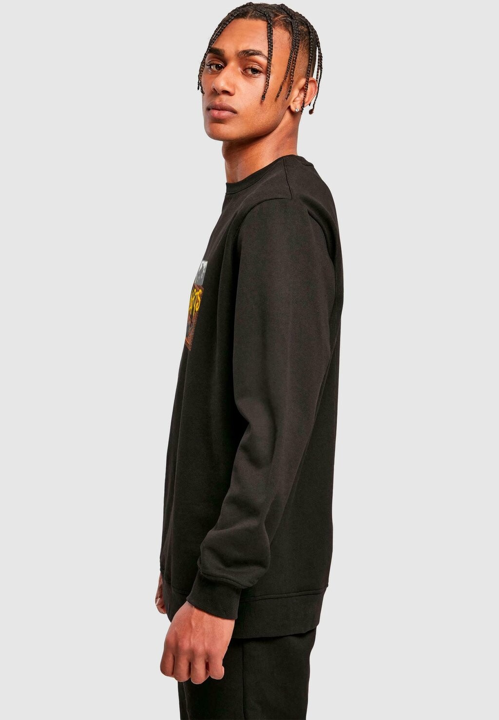 

Толстовка HARRY POTTER HOGWARTS EXPRESS TICKET CREWNECK ABSOLUTE CULT, черный