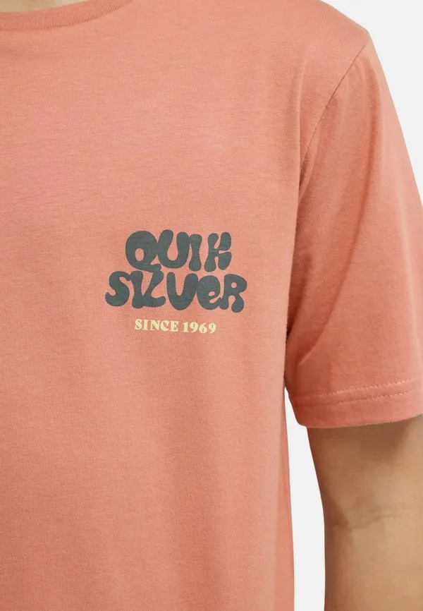 Футболка с принтом fruits tide ss (bga0) Quiksilver, Mkt0 — фото 4