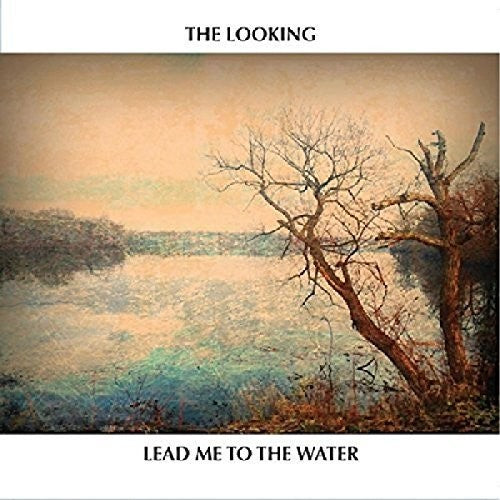 

CD диск Looking: Lead Me To The Water