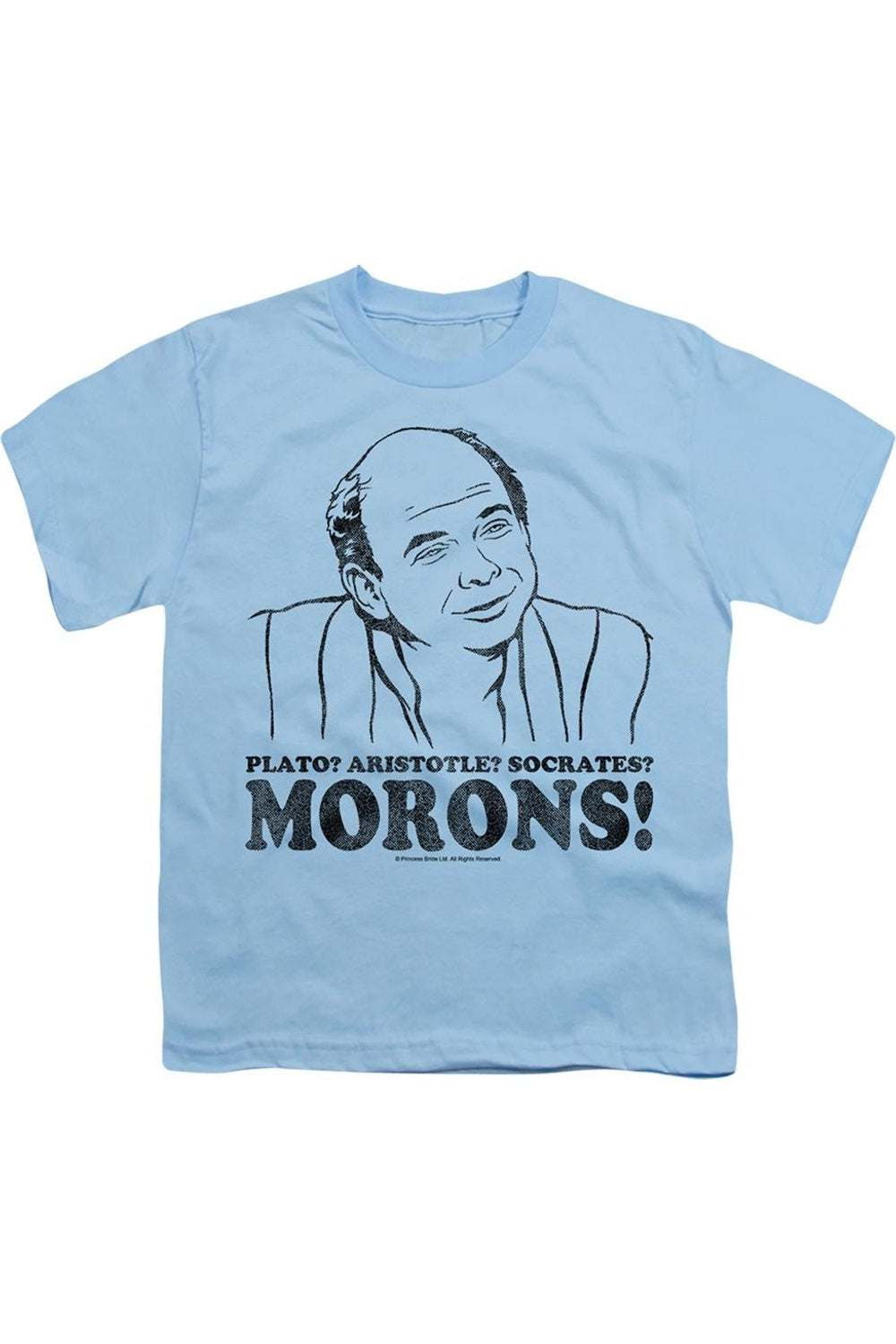 

Футболка с коротким рукавом для детей "Принцесса-невеста" Morons Gildan, светло-голубой