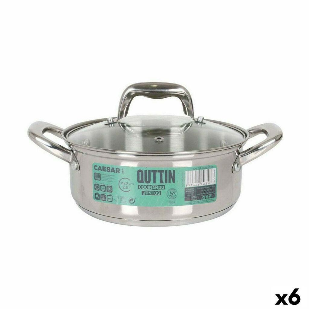 

Кастрюля со стеклянной крышкой Quttin Caesar сталь ø 20 x 8 см (6 шт.)