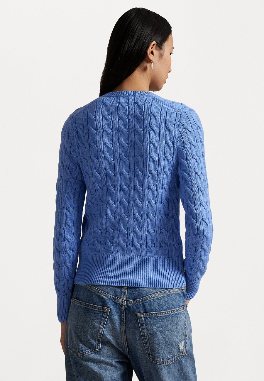 Кардиган Polo Ralph Lauren LONG SLEEVE CARDIGAN , Litchfield Blue/Light Blue — фото 3