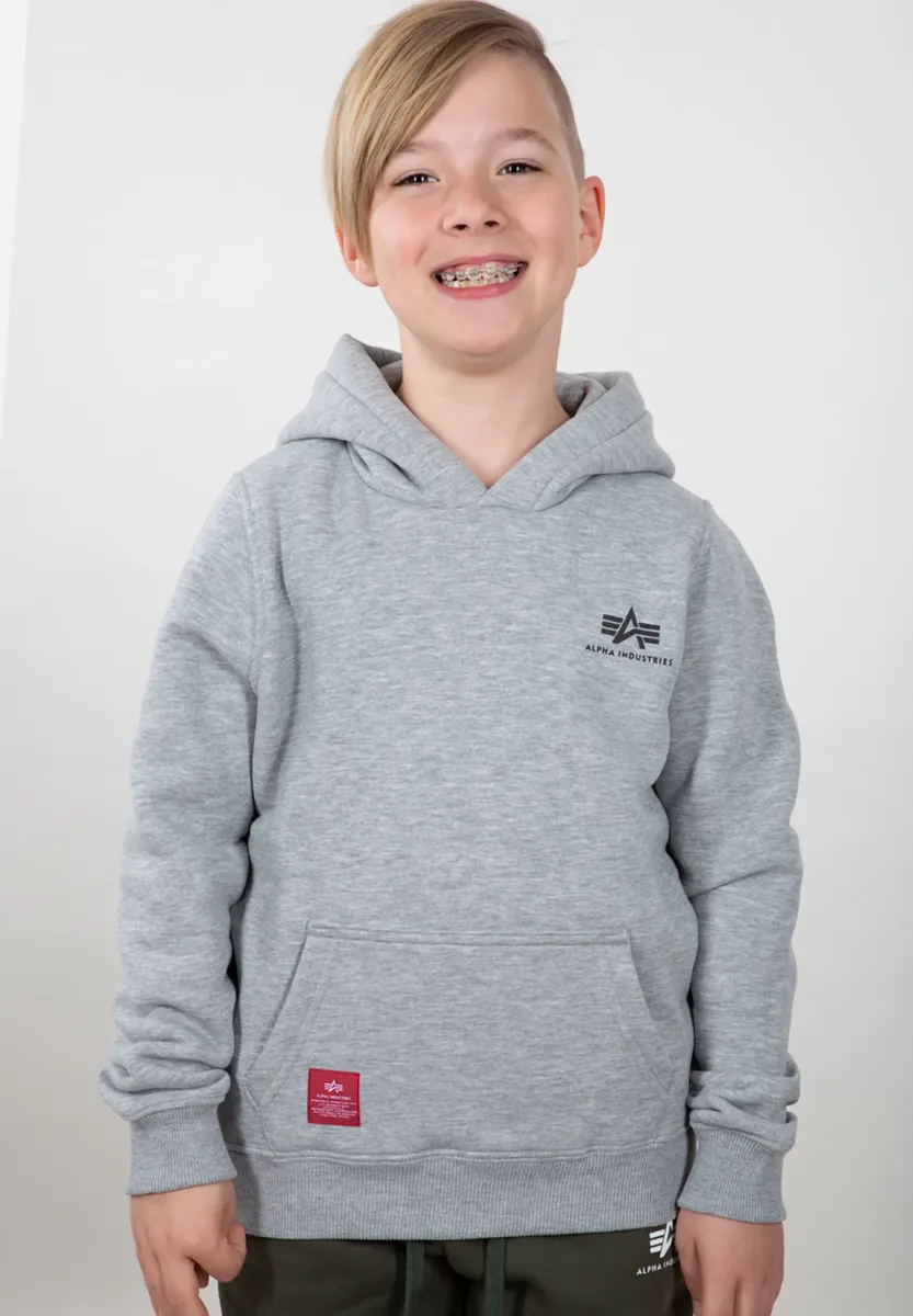 

Толстовка Alpha Industries " Alpha Industries Kids - Толстовки Basic Hoody Small Logo Kids", серый