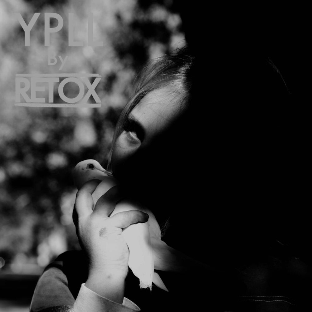 

Диск CD YPLL - Retox