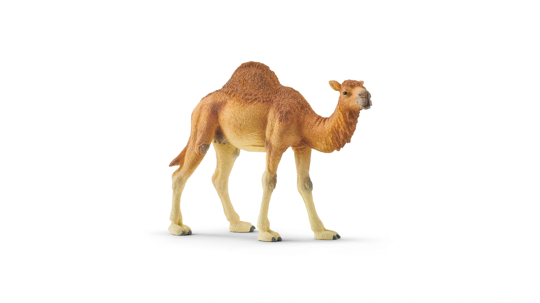 

Schleich Дикая жизнь Дромадер