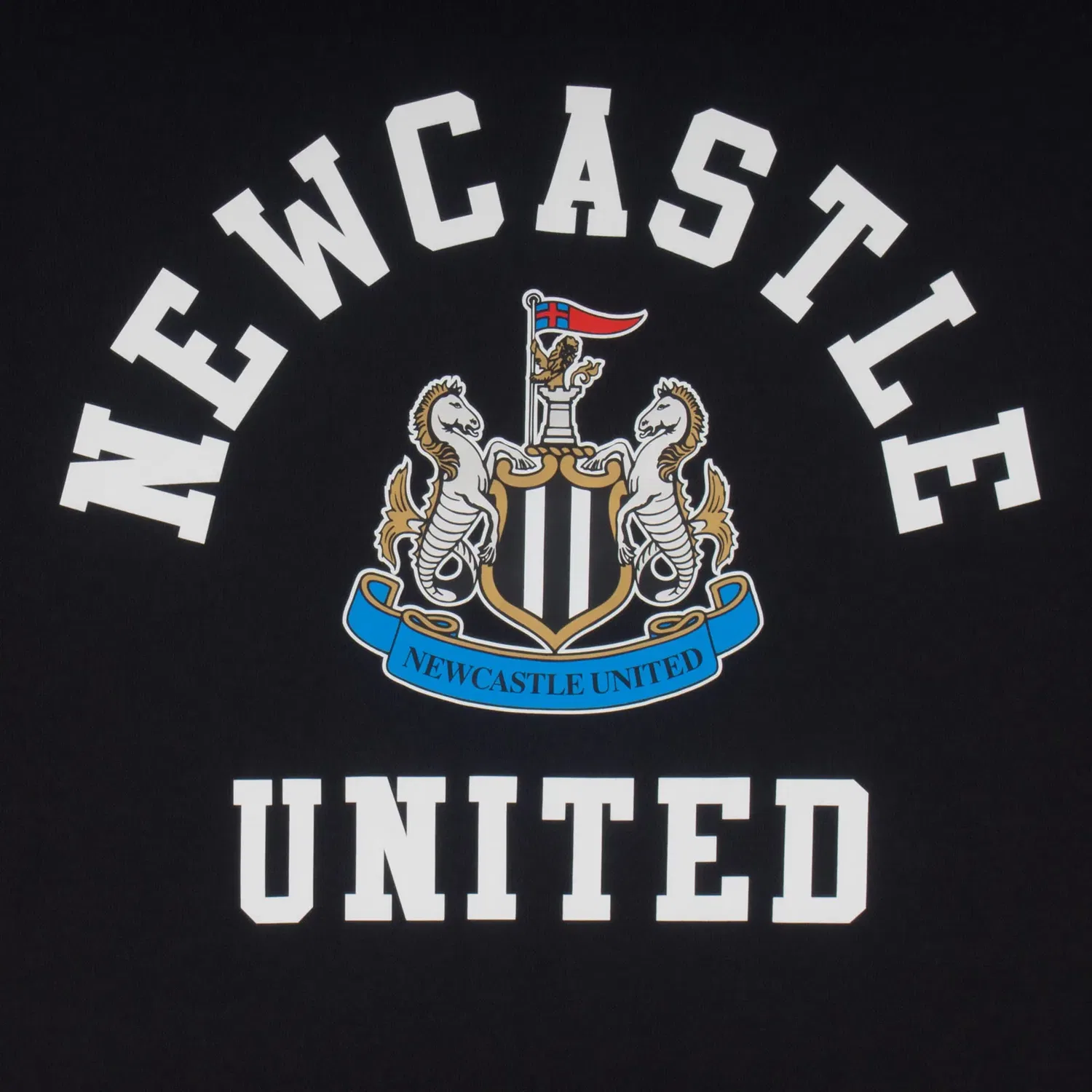 Детский худи Newcastle United FC, черный — фото 2