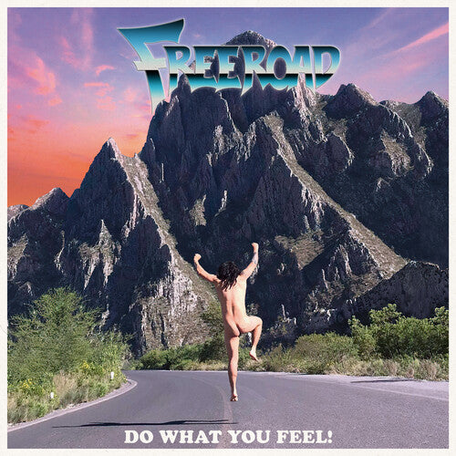 

Виниловая пластинка Freeroad: Do What You Feel!