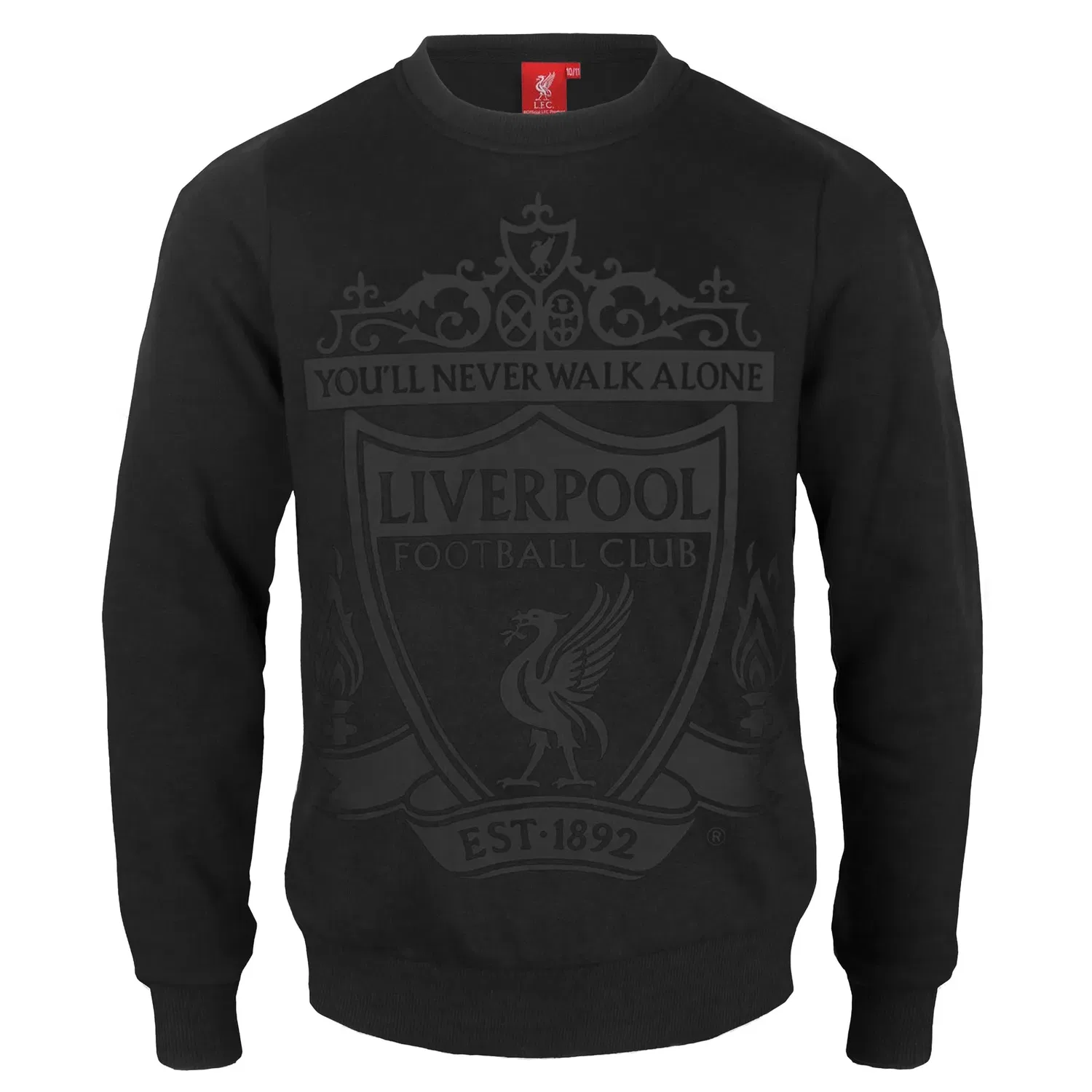 Детская толстовка с логотипом Liverpool FC, черный