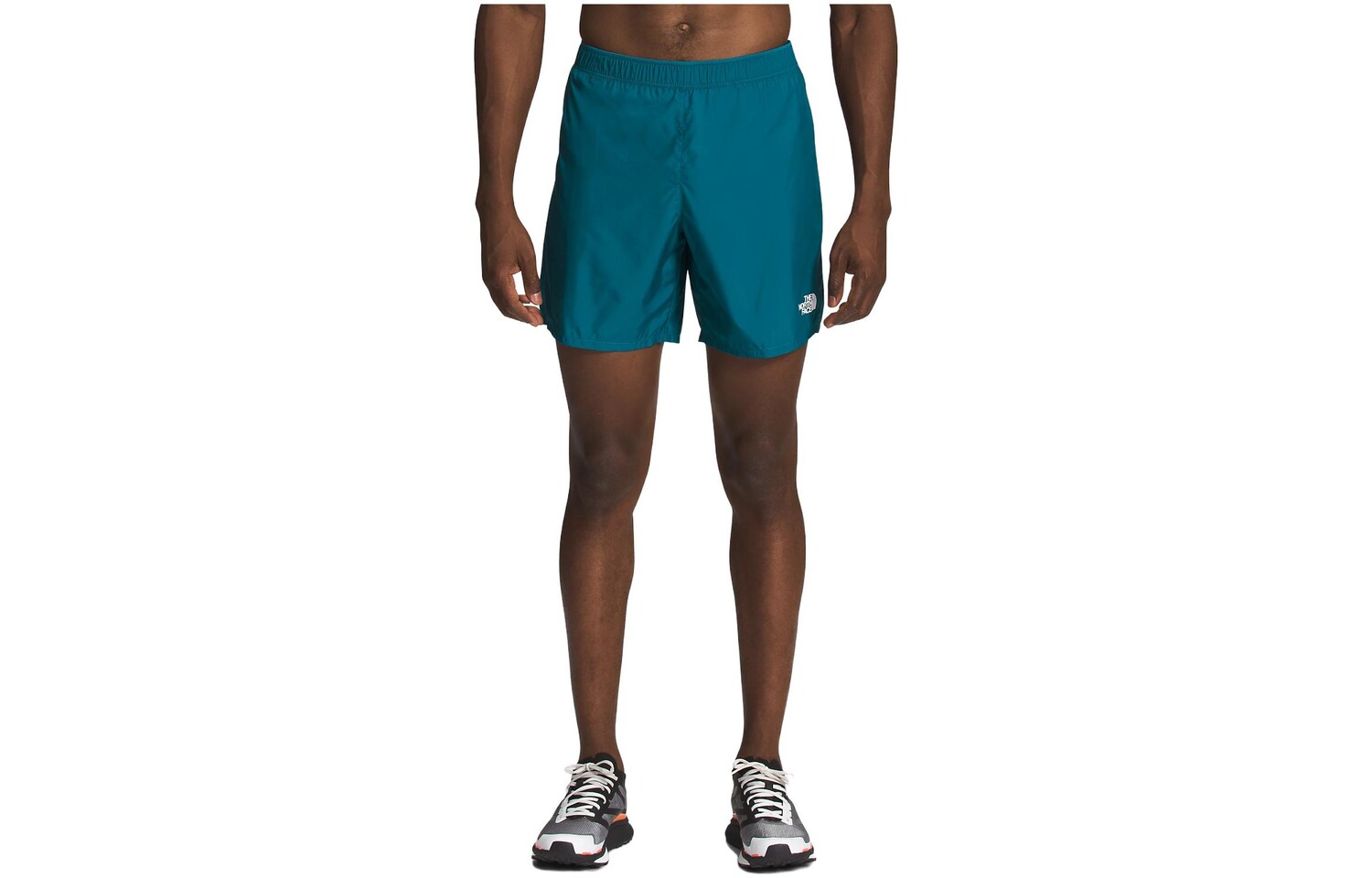 

THE NORTH FACE Мужские повседневные шорты, цвет Blue