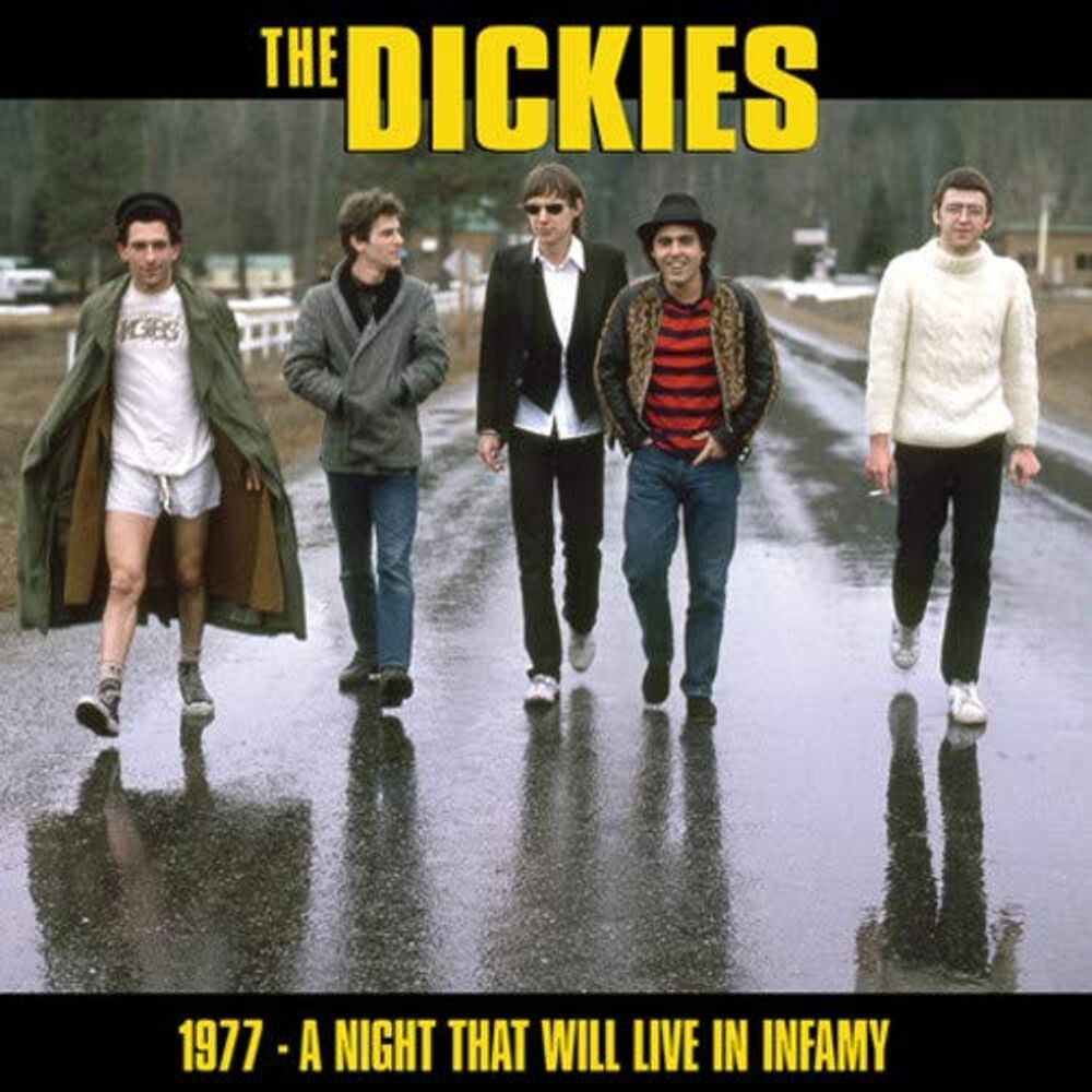 

Виниловая пластинка LP 1977 - A Night That Will Live In Infamy - The Dickies