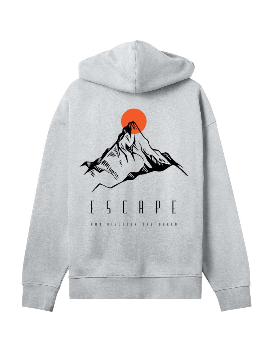 

Свитер F4NT4STIC Escape Discover the World Mountain, Grey
