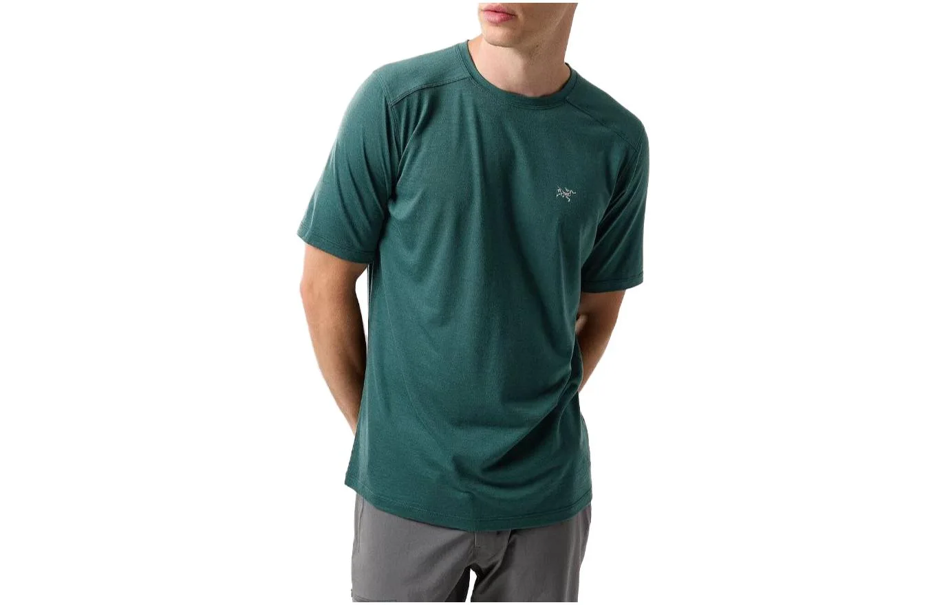 Футболка Ionia Merino Wool мужская с круглым вырезом Arcteryx, Pale Green/Pytheas
