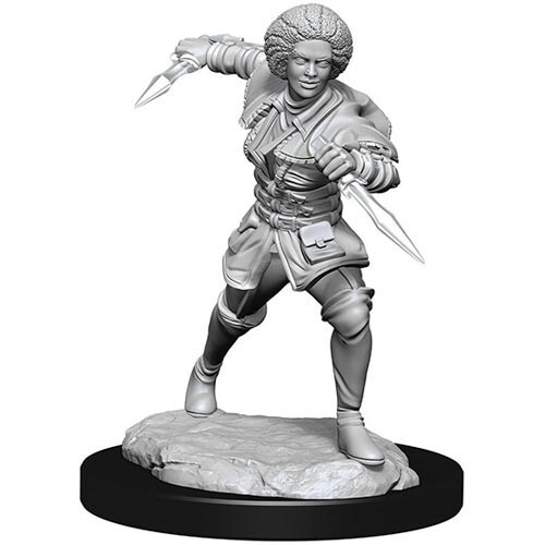 

Миниатюра WizKids/NECA Magic Unpainted Minis: W2 Kaya