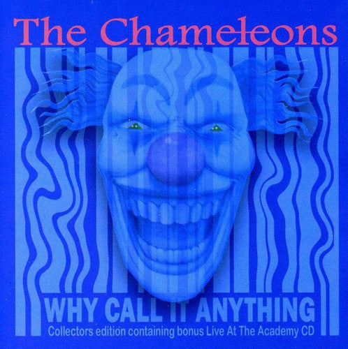 

CD диск Chameleons: Why Call It Anything